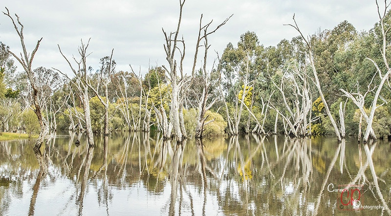 River of Reflection