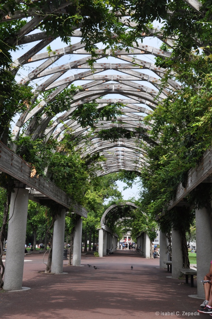 Park in Boston