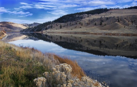 Shumway Lake