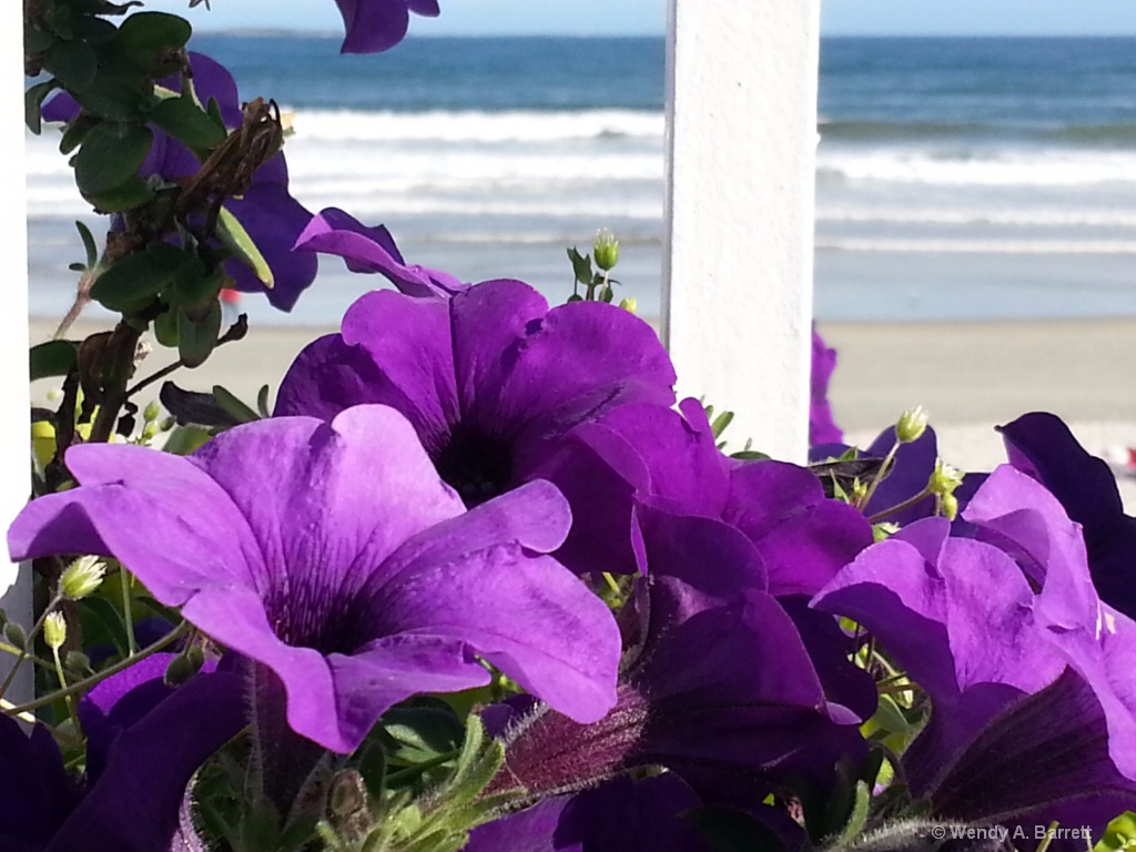 Simple Summer Beauty at the Beach