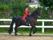 At the show