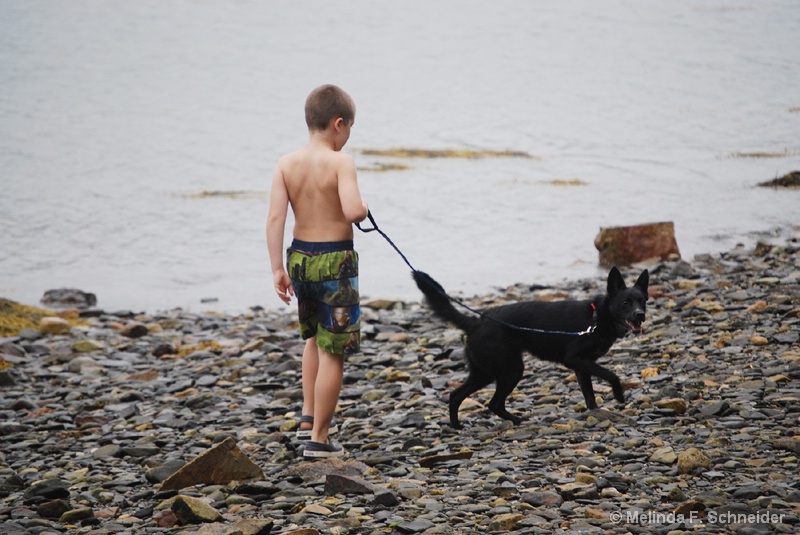 Beach Walk