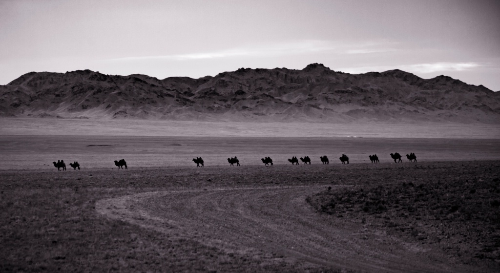 The Gobi Desert