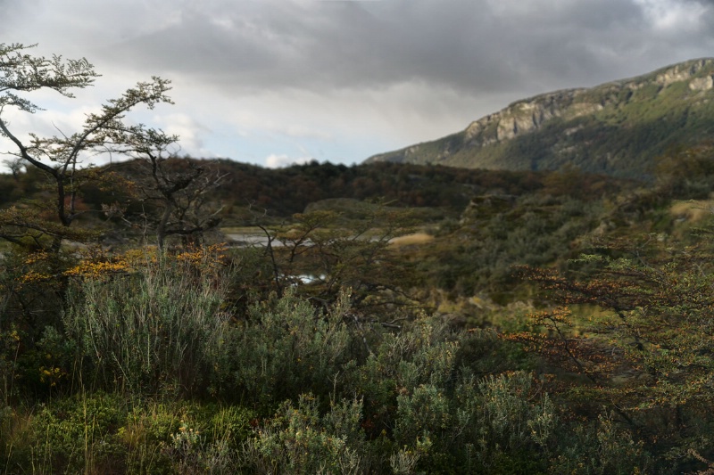 Side-Lit Tierra Del Fuego