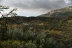 Side-Lit Tierra D...