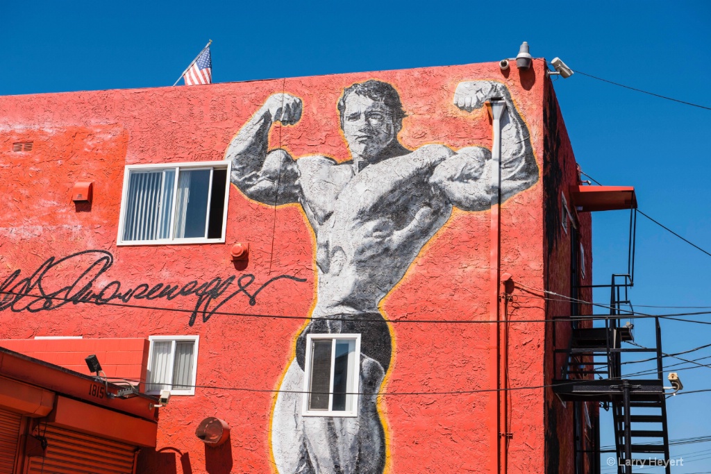 Mural in Venice Beach, CA