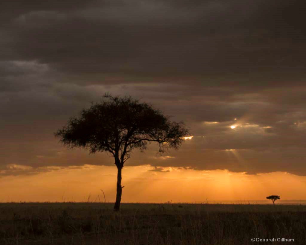 Mara Sunset