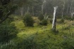 Along A Morning P...