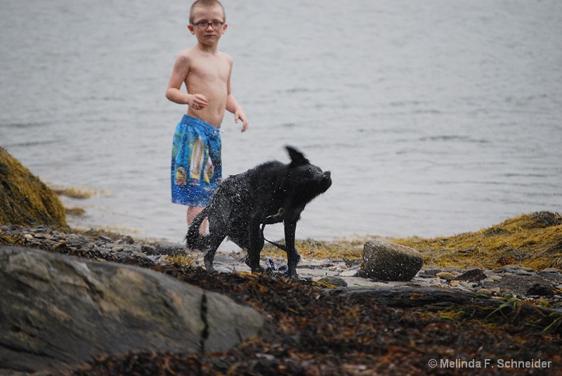 Shaking Off the Sea