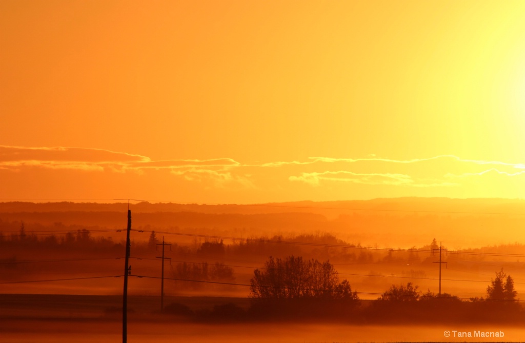 Early Evening Mist