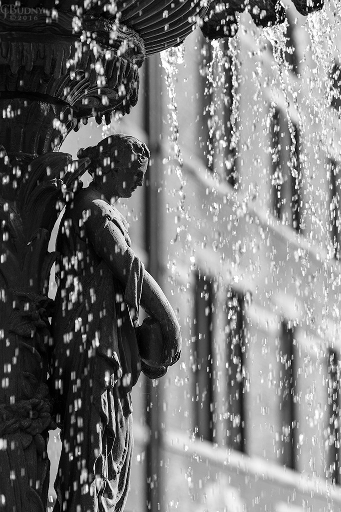 Summer Showers - ID: 15233780 © Chris Budny