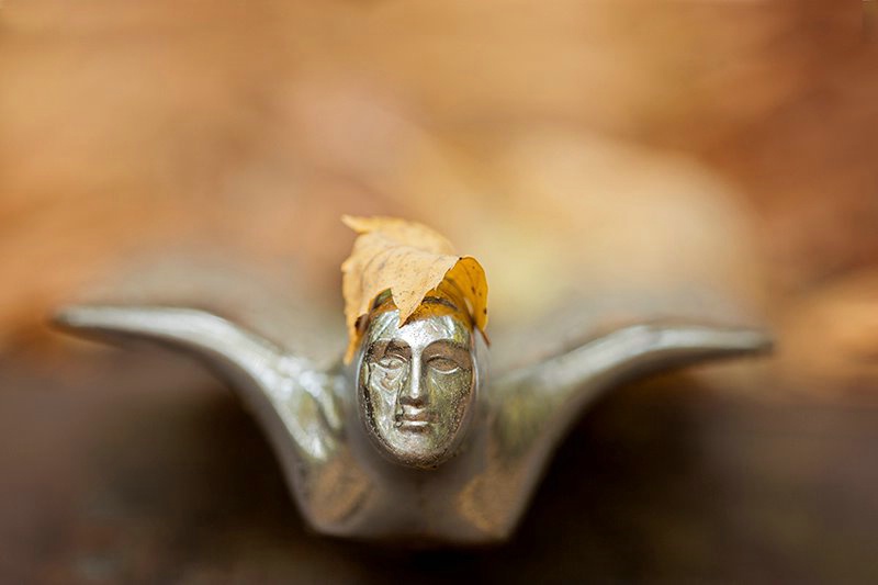 Hood Ornament in the Fall