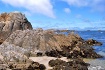 Asilomar State Ma...