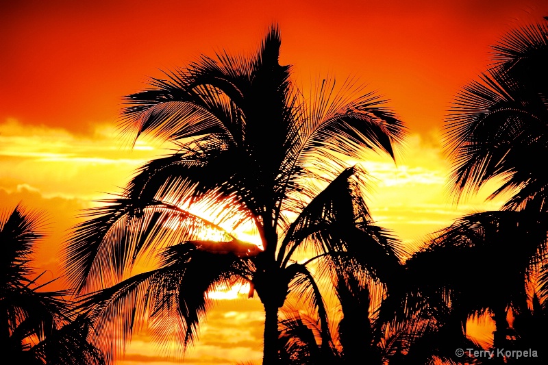 Maui Sunset - ID: 15234913 © Terry Korpela