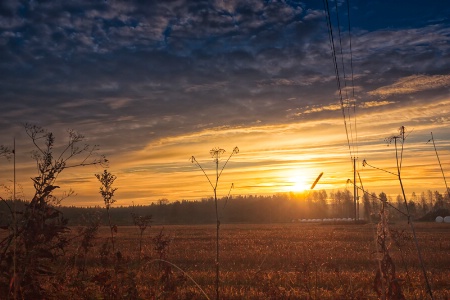 Sunrise on the autumn fields