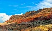 New Mexico Landsc...