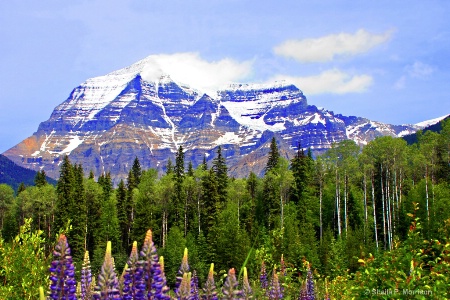 Mount Robson