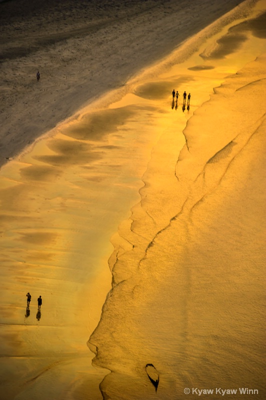 Golden Light on the Beach