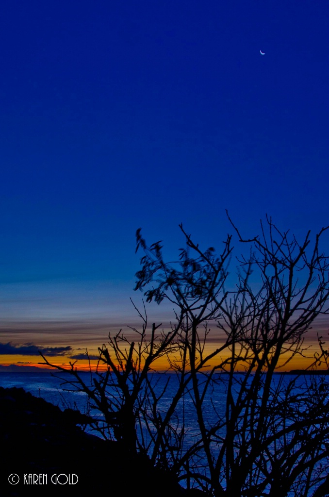 Pre Dawn Light at French Creek. - ID: 15236219 © Karen E. Gold