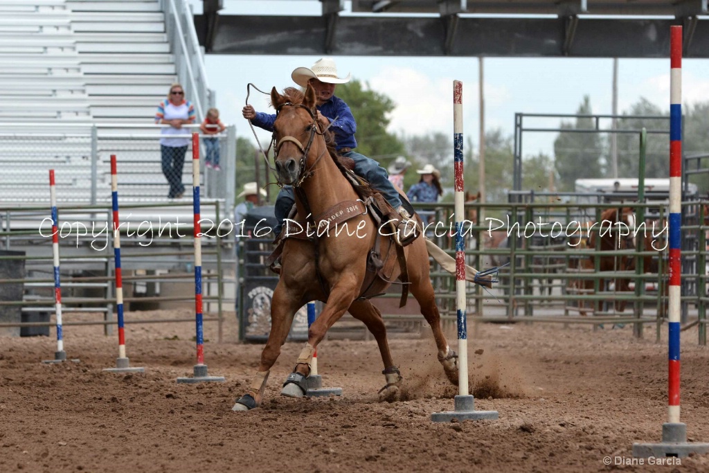 Britt Bradford 5th  Under Nephi Poles 2.JPG - ID: 15236740 © Diane Garcia