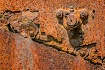 Where Rust Doth C...