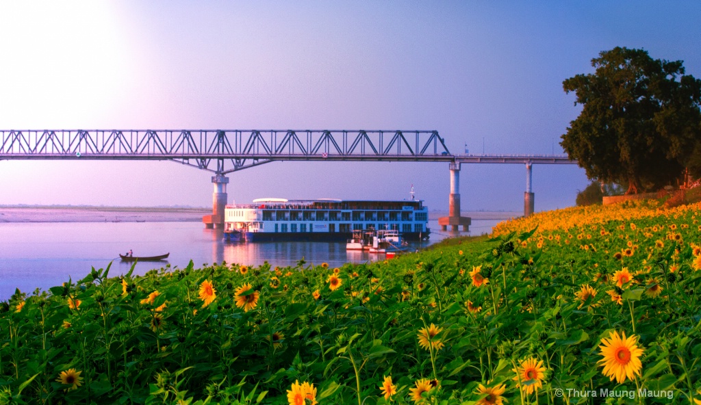 Tourist Boat