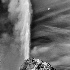 © Elliot Barnathan PhotoID# 15239160: Yellowstone 108