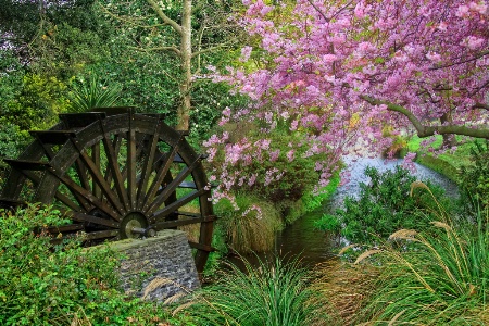 Wagon wheel in spring