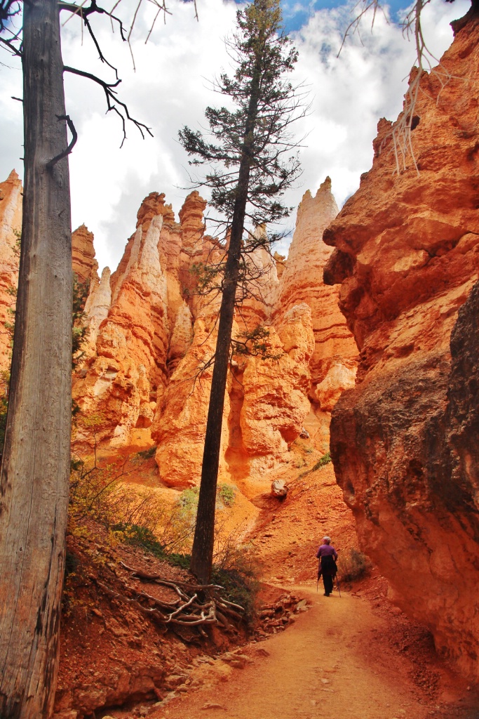 Down in Bryce Canyon
