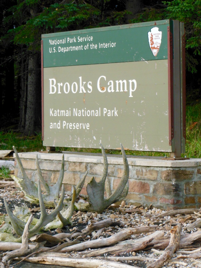 Welcome to Brooks Camp in Katmai National Park
