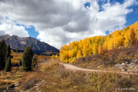 Colorful Road