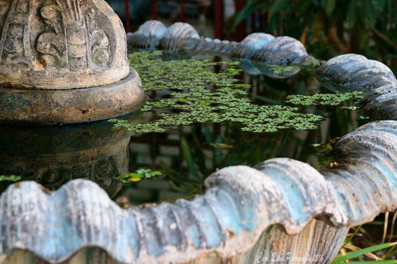 The La Rhonda Fountain