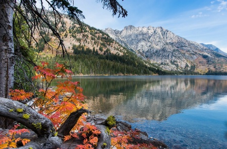 Jenny Lake