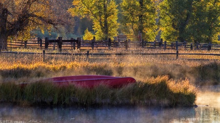 Morning Mist