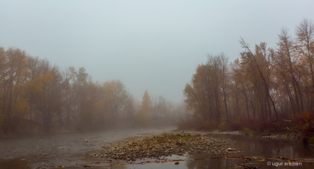 Elbow River on a foggy day