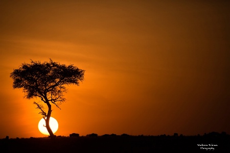 Africian-Sunrise
