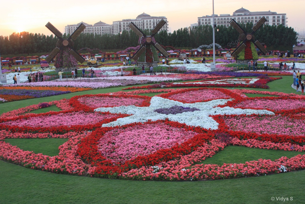 Floral garden