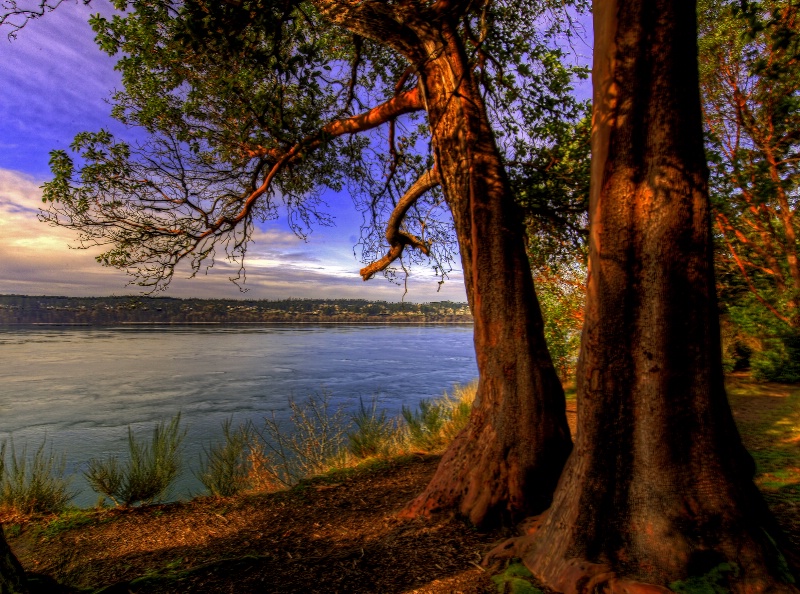 Tacoma Narrows