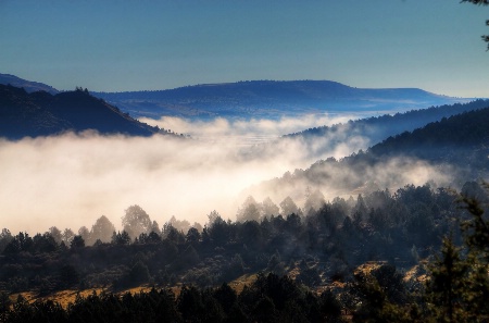 Fog over the Basin