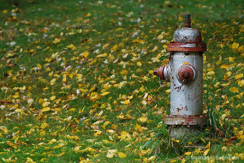 Autumn Hydrant