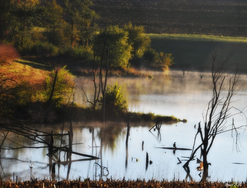 Autumn On The Pond