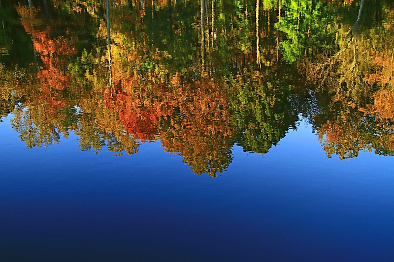 Reflecting Autumn