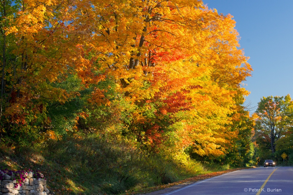 Autumn Drive, Southern Ontario