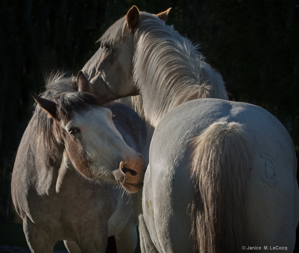 You scratch mine and I'll...