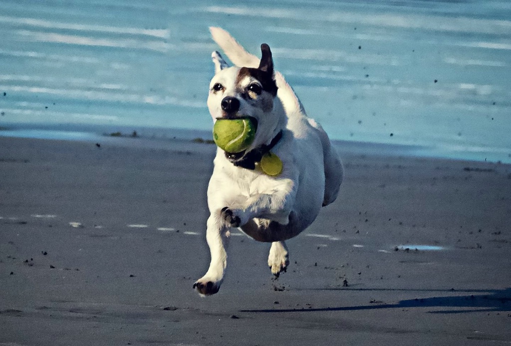 Baz in mid-flight