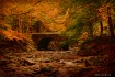 The Bridge
