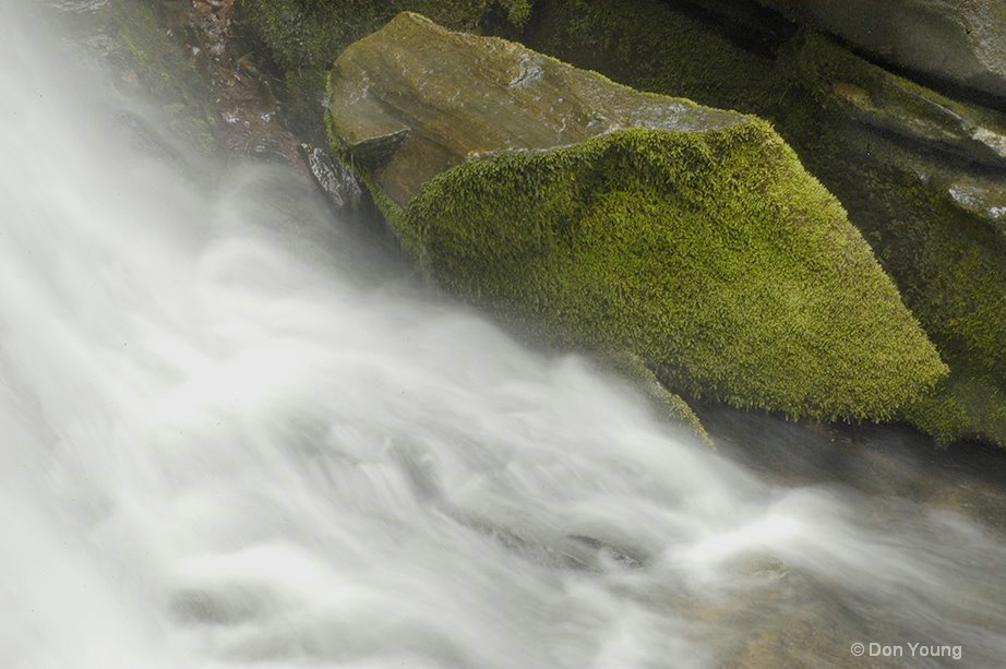 Mossy Rock, Smoky Mountains