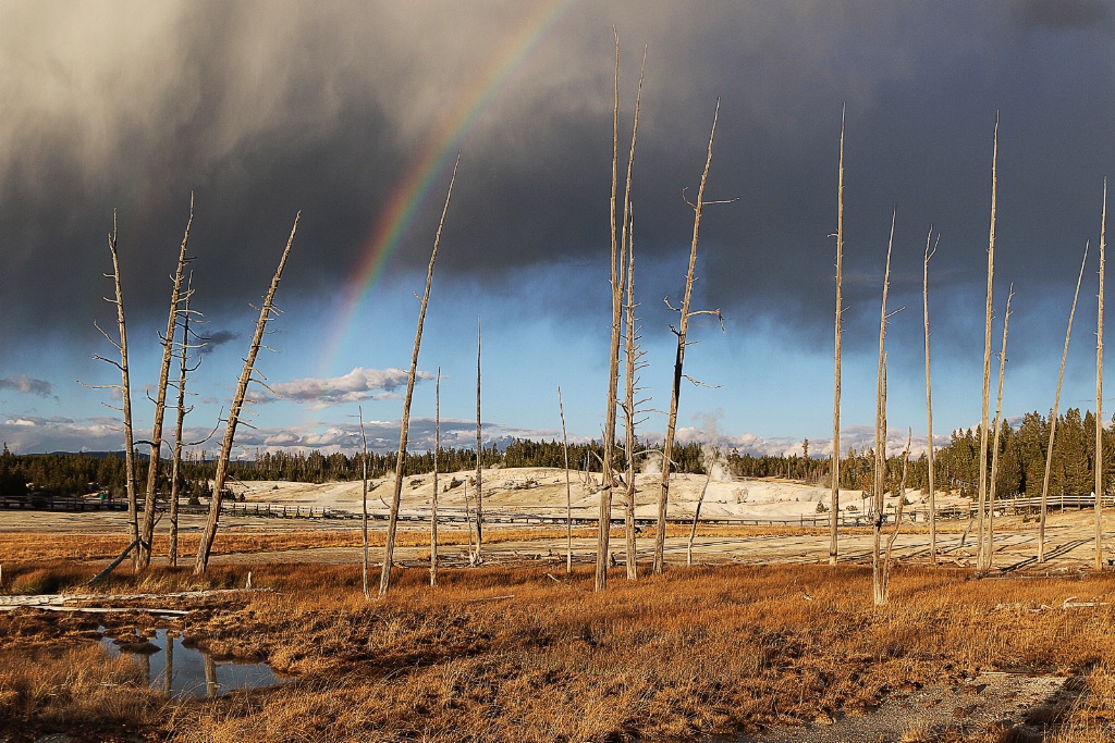 Yellowstone Rainbow