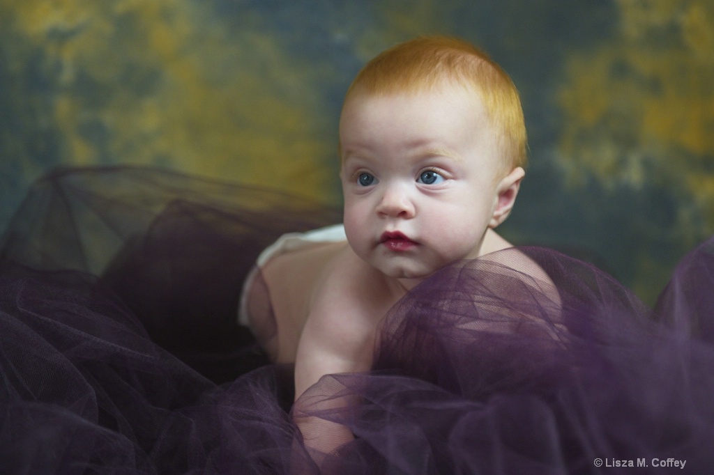 Avi 1 - ID: 15250591 © Lisza M. Coffey