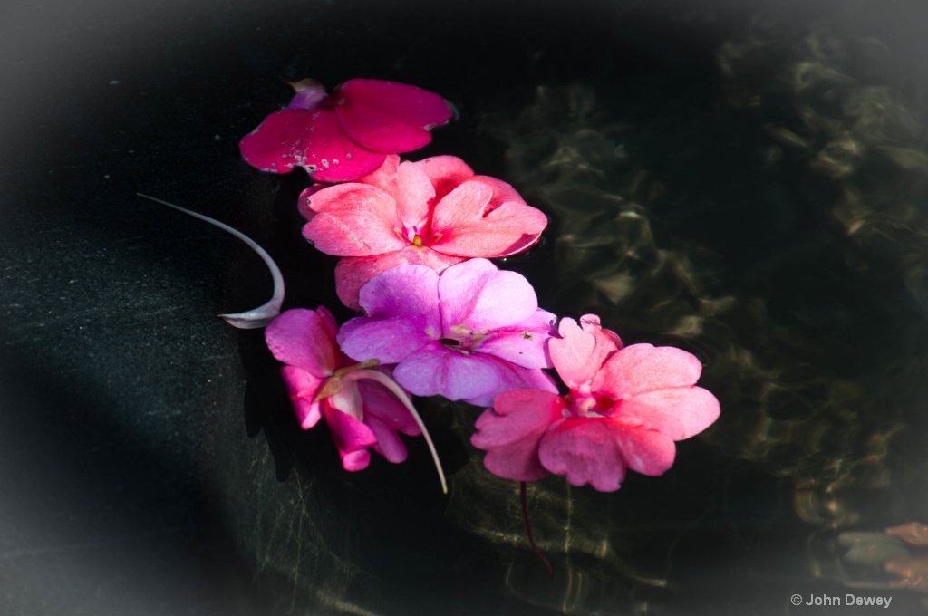 Floating Petals